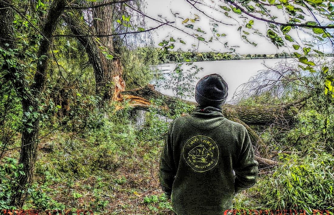 Boiliesmania 2013  (4) - 1031707hdrmode2.jpg